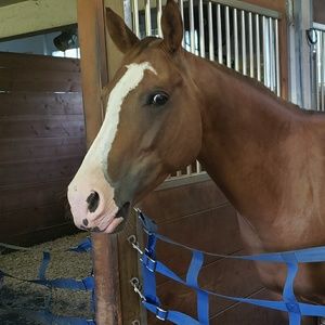 Meet your Posher, Ronda